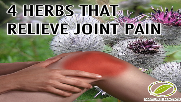 4-herbs-that-relieve-joint-pain-healthy-food-advice